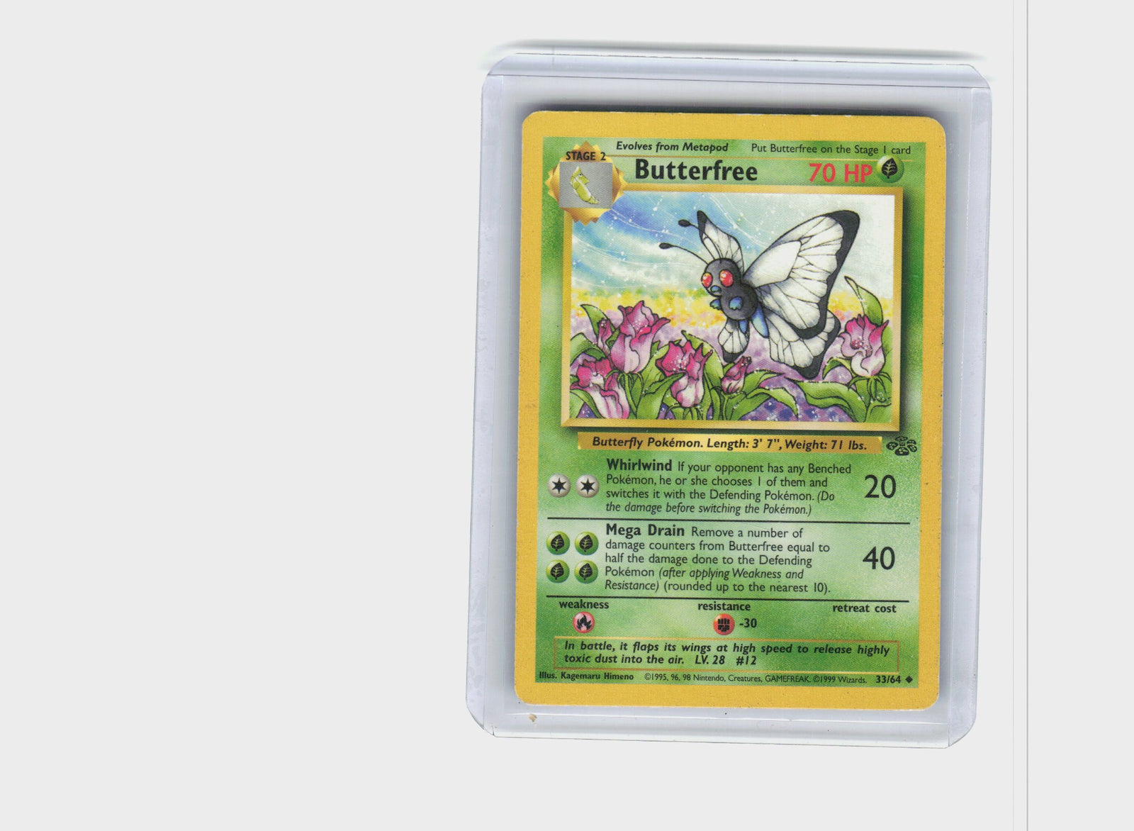Butterfree #33