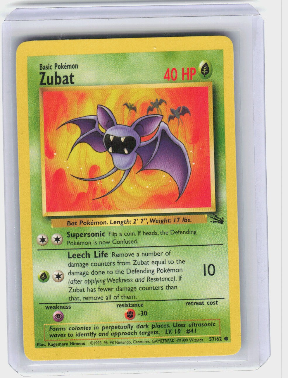 Zubat #57