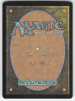 Plains #252/264 Dragons of Tarkir MTG Non-Foil English