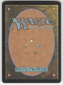 Plains #230/249 Theros MTG Non-Foil English