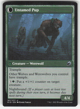 Hound Tamer // Untamed Pup #187/277 Innistrad: Midnight Hunt MTG Non-Foil