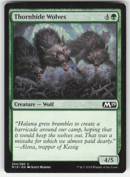 Thornhide Wolves #204/280 Core Set 2019 MTG Non-Foil English