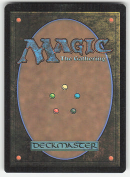 Cartographer's Companion #248 The Lost Caverns of Ixalan MTG Non-Foil English
