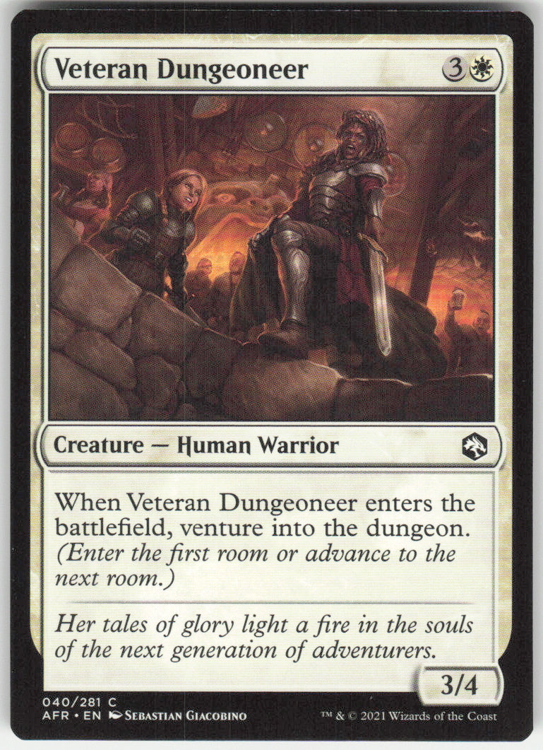 Veteran Dungeoneer #40/281 Non-Foil