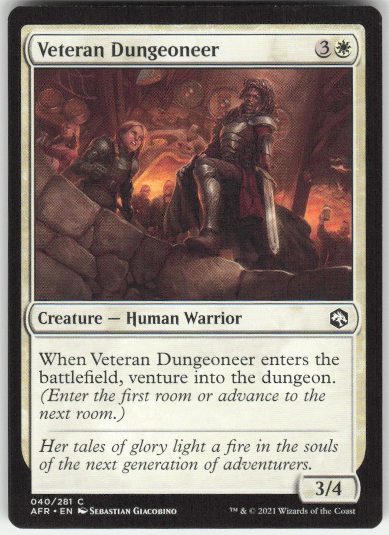Veteran Dungeoneer #40/281 Non-Foil
