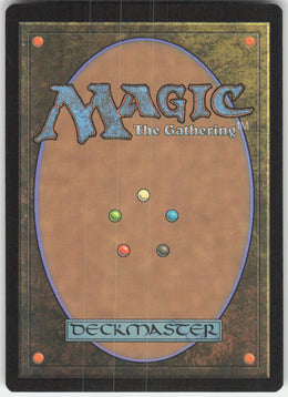 Leather Armor #248/281 Non-Foil