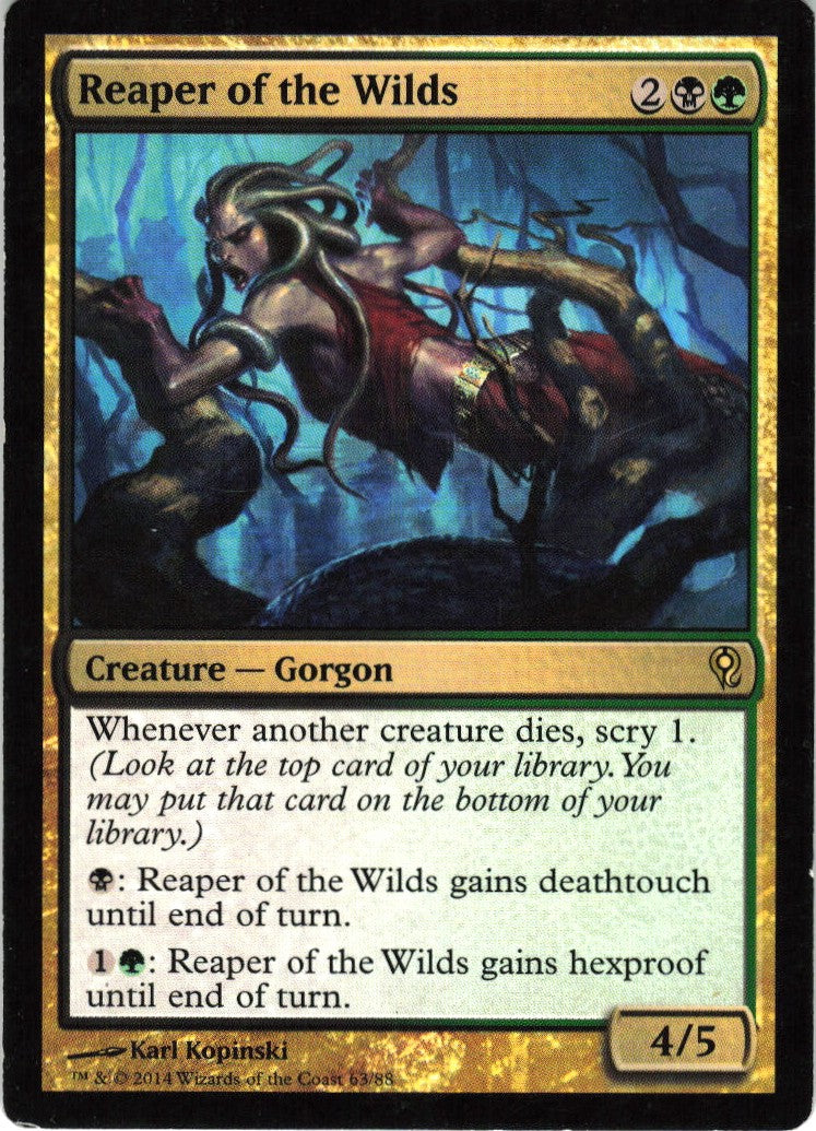 Reaper of the Wilds #63 LP