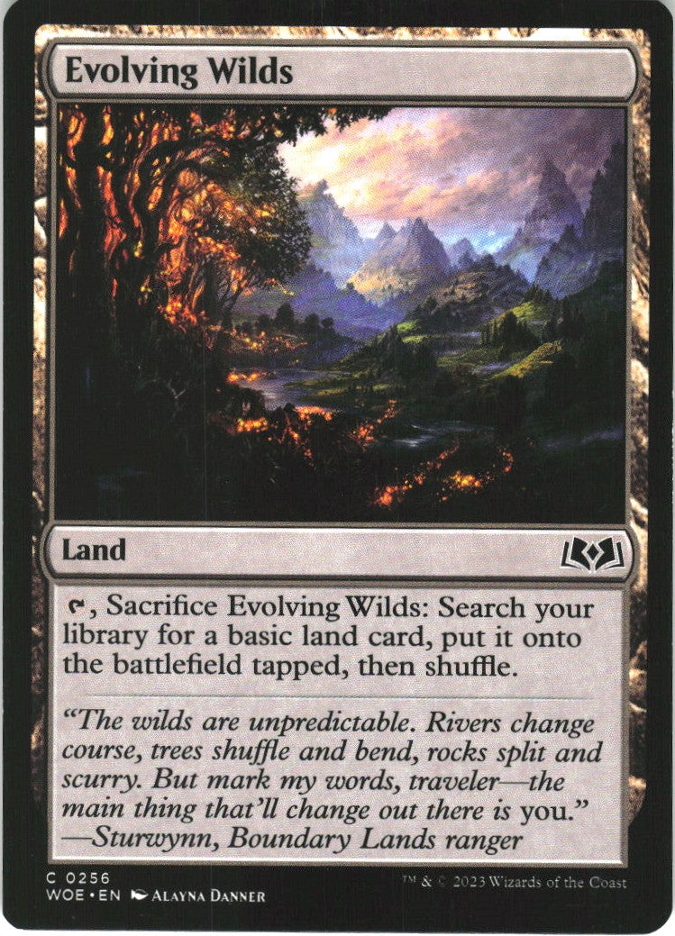 Evolving Wilds #256 NM