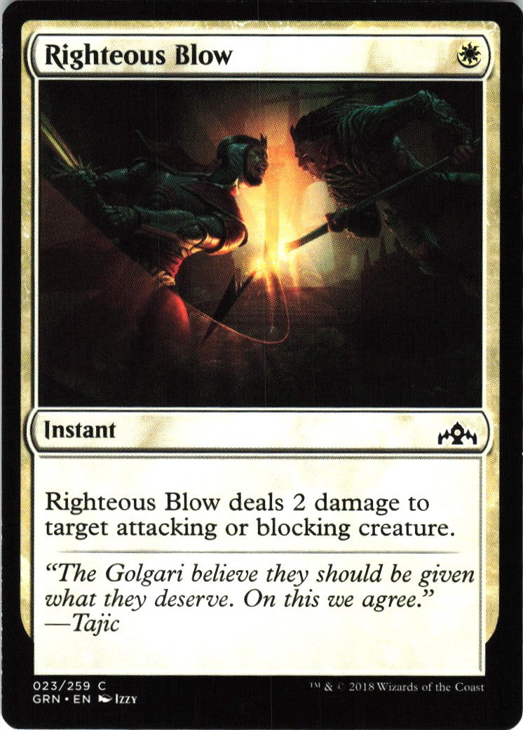 Righteous Blow #23 NM