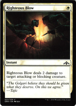 Righteous Blow #23 NM