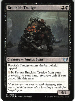 Brackish Trudge #65 NM