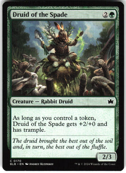 Druid of the Spade #170 NM