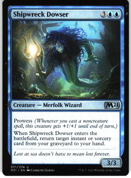 Shipwreck Dowser #71 NM