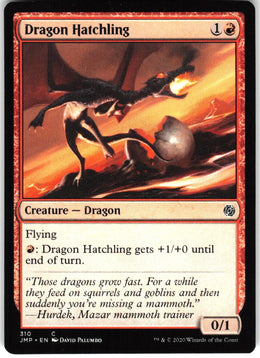 Dragon Hatchling #310 NM