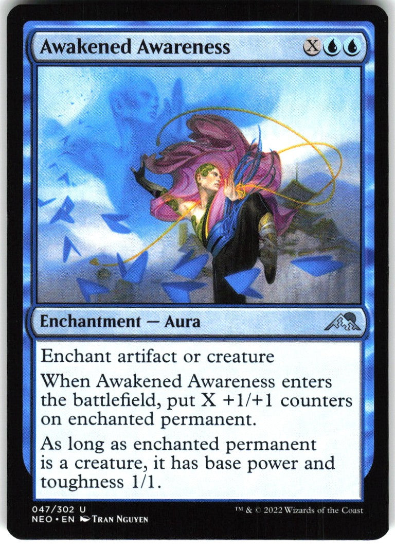 Awakened Awareness #47 NM