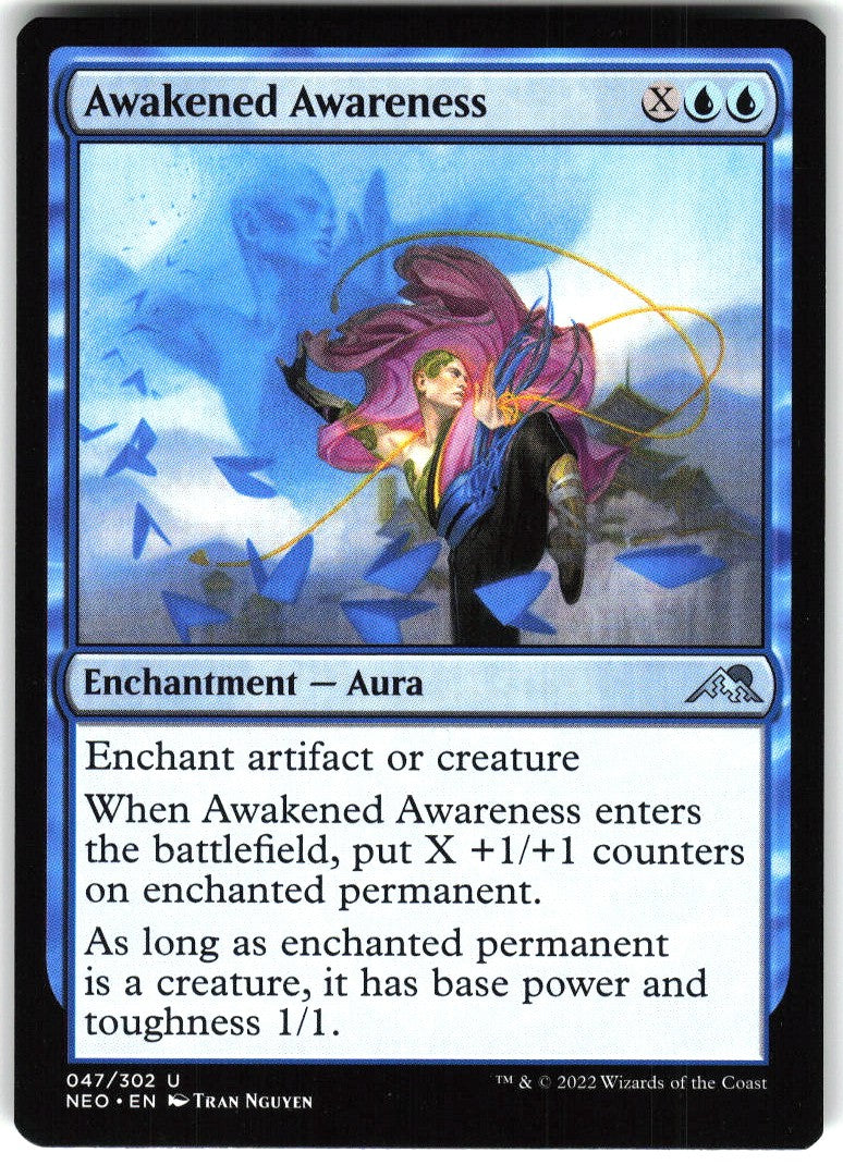 Awakened Awareness #47 NM
