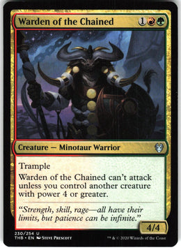 Warden of the Chained #230 NM