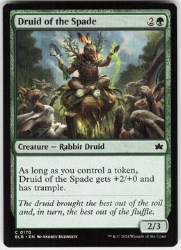 Druid of the Spade #170 NM