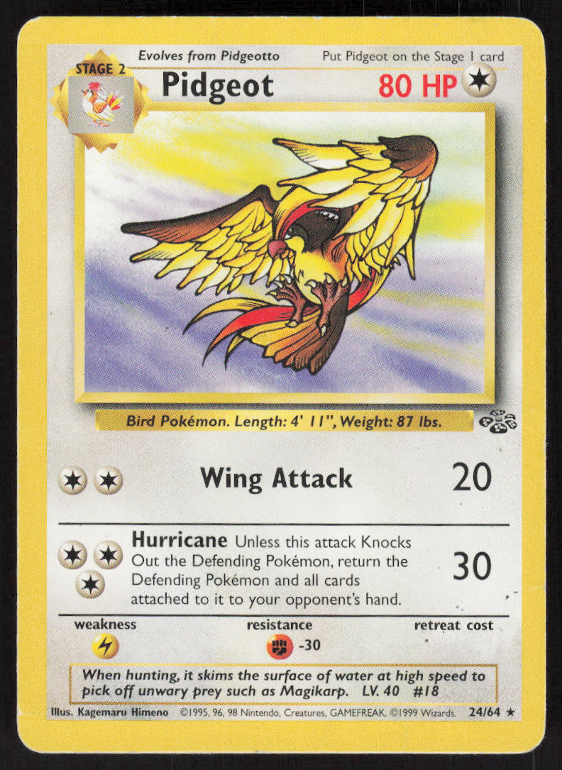 Pidgeot - Jungle #24/64 - Lightly Played - Normal