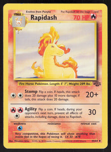 Rapidash - Jungle #44/64 - Lightly Played - Normal