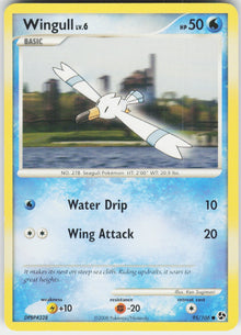 Wingull #95