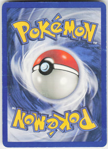 Swinub #79