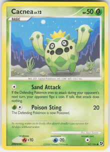 Cacnea #62