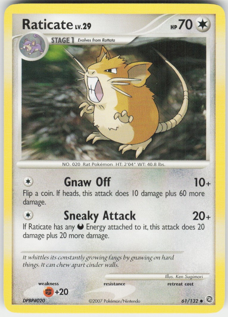 Raticate #61