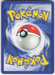 Pewter City Gym #115