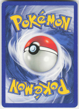 Pewter City Gym #115