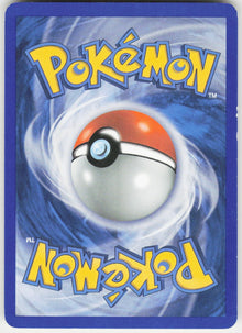 Torchic #65