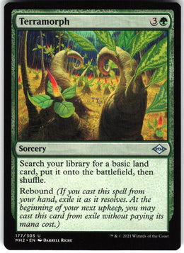 Terramorph #177 NM