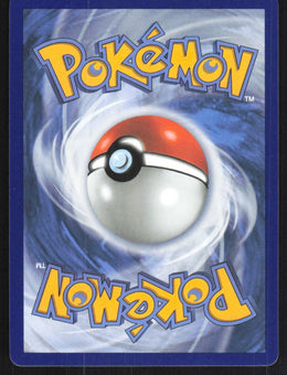 Mega Greninja ex #100/86 Holofoil