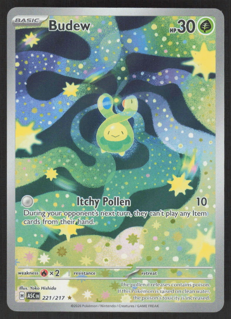 Budew #221/217 Holofoil