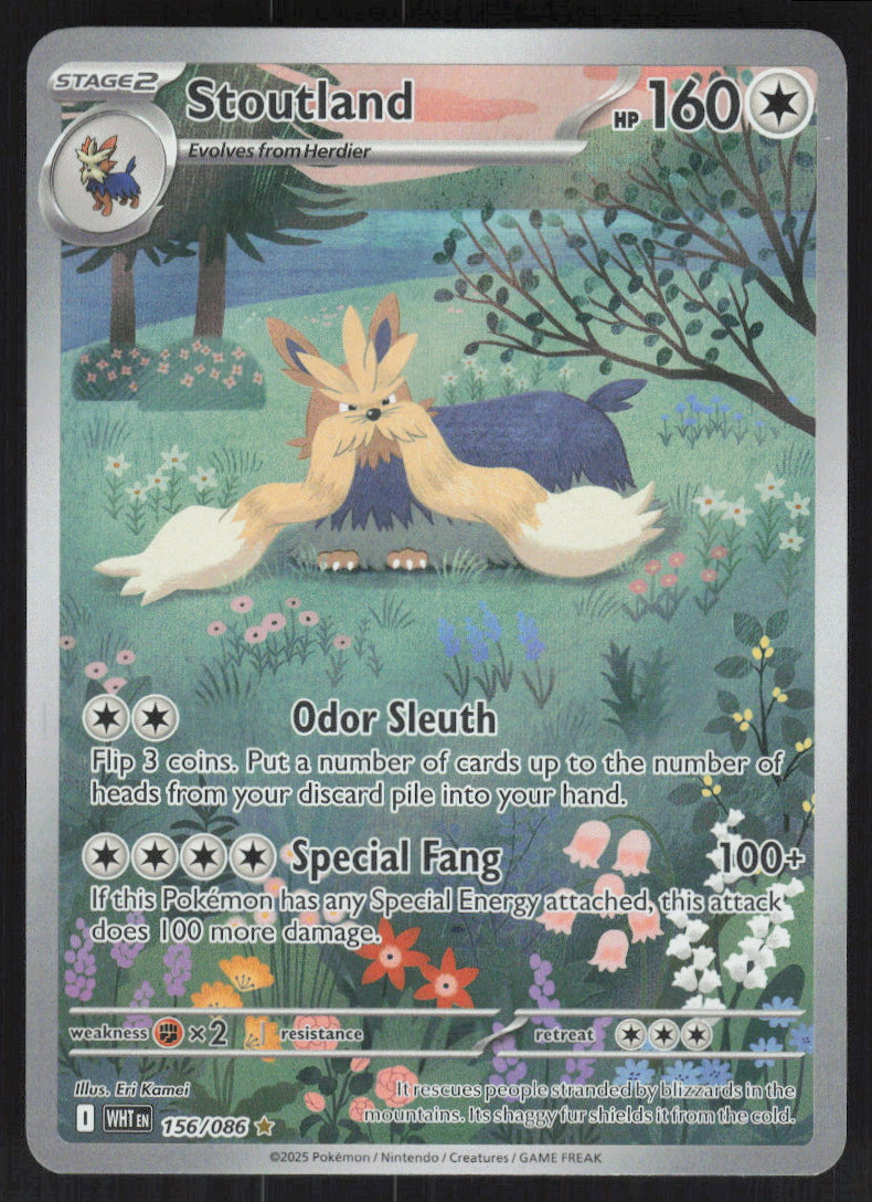 Stoutland #156/86 Holofoil