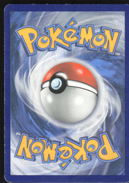 Boltund V #SWSH219/307 Holofoil