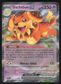 Dachsbun ex #67/142 Holofoil