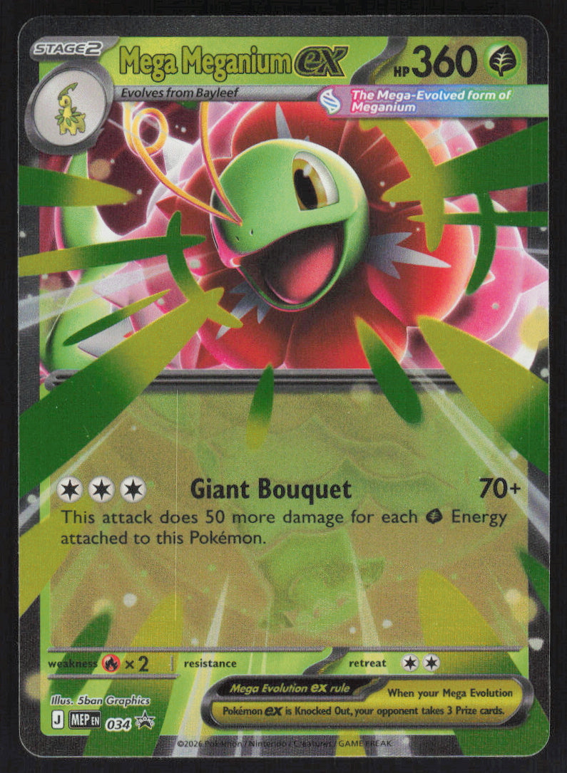 Mega Meganium ex #034 Holofoil