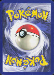 Weezing #45