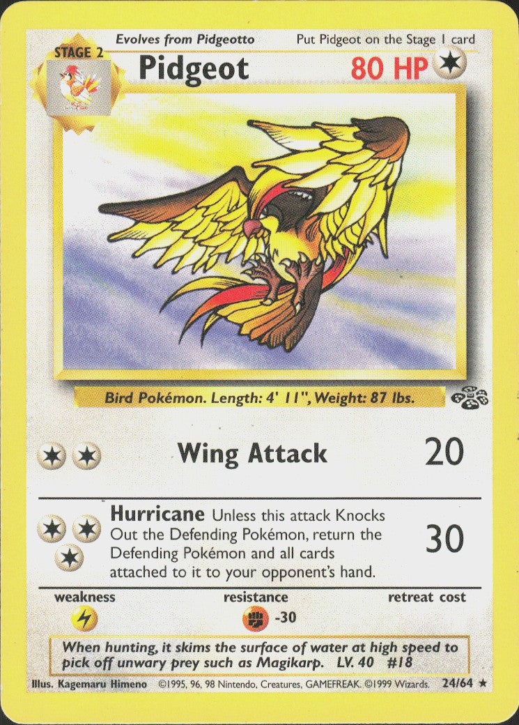Pidgeot #24