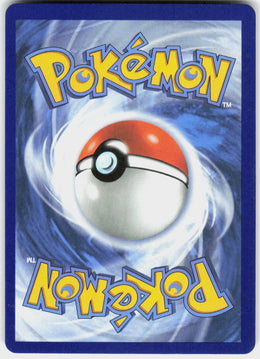 Blaziken ex #24
