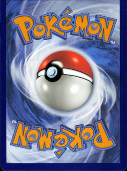 Lycanroc V - SWSH Black Star Promos #SWSH199 - Near Mint - Normal