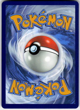Mega Camerupt ex - Mega Evolution #022/132 - Near Mint - Normal