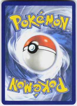 Mega Camerupt ex #22