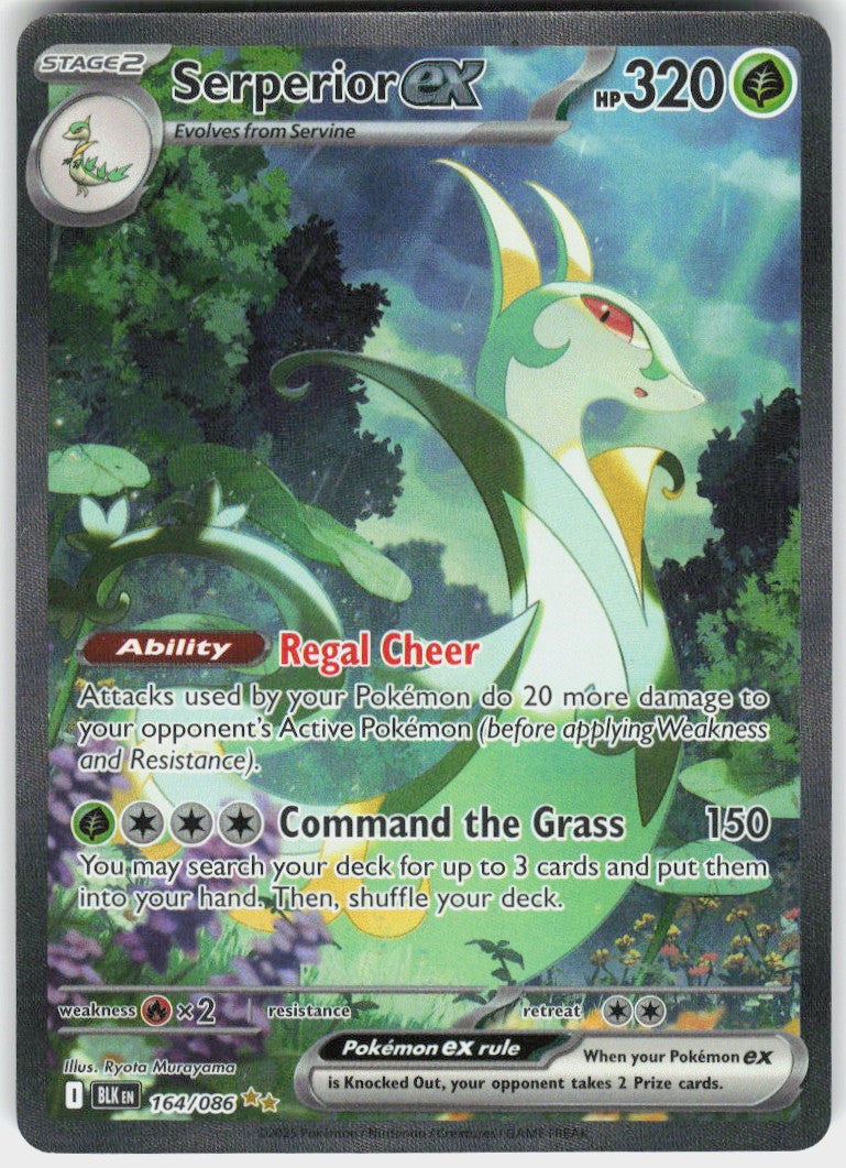 Serperior ex #164 NM
