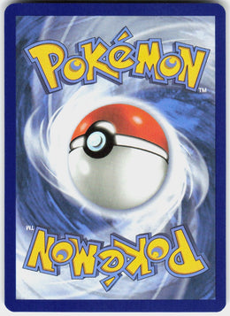 Team Rocket's Houndoom #191