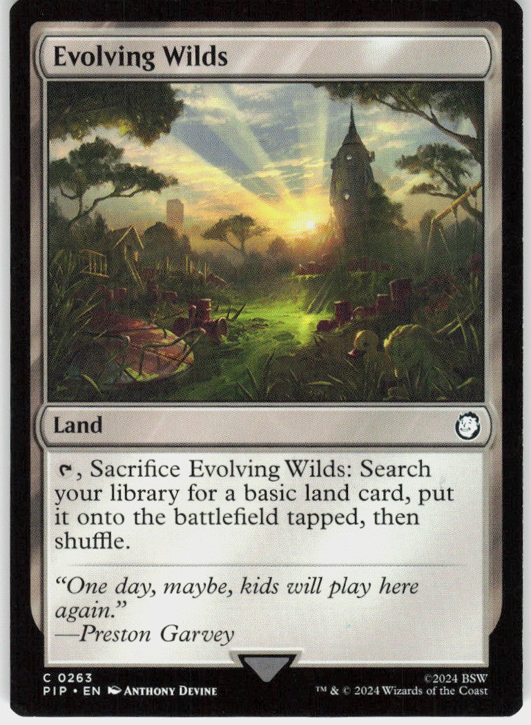 Evolving Wilds #263 NM