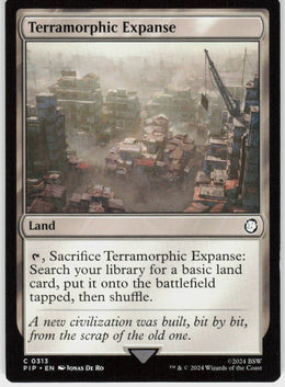 Terramorphic Expanse #313 NM