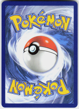 Silvally #95