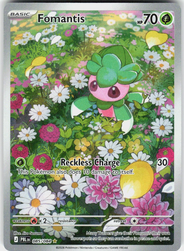 Fomantis #85